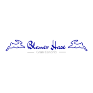 Blauer Hase 